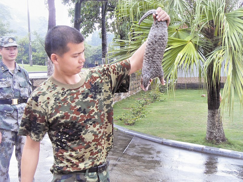 安检机厂家为野生动物?；ち⑾潞孤砉? /></div><br />每一种野生动物都是大自然的恩赐，人与自然的和谐相处，造就了这一完美的生态系统。每一种生物都有生存的权利和存在的意义，为地球的生态平衡，发挥着重要的作用。当有一种生物灭绝消失时，必然会打乱当前的生物链，进一步导致更多的生物生存困难，甚至灭绝。<br /><br /><br />为了避免这一恶性的连锁反应的发生，世界野生动物保护组织和各个国家，都有制定严格的野生动物保护法。原则上，所有在列的动物们，都会受到法律的?；?。一切个人和组织，不得以任何的理由捕捉野生动物。<br /><br /><br />近年来，不断的有受?；さ囊吧锍鱿植妥乐希诿教宓钠毓庵潞凸驳拇罅Χ日沃?，还是有人铤而走险。诸如穿山甲一类的野生动物，每个城市或多或少都有存在黑市交易的现象。旺盛的消费需求，使它们的身价飞涨，一只稍微大一点的，动辄价格飙升上万元。在暴利的驱动之下，不法分子不惜铤而走险。<br /><br /><br />好在全国的快递物流行业，普遍实行了安检机的严格检查。在所有的物品必须进行X光检查之后，有力的打击了不法分子的嚣张气焰。对贩卖野生动物的行为，产生了较大的摧毁力，甚至将已经形成的低下产业链，进行有有效的阻断。<br /><br /><br />安检机厂家邦佰在今后的发展中，会进一步的以低价给快递物流机构供应优质的<a href=